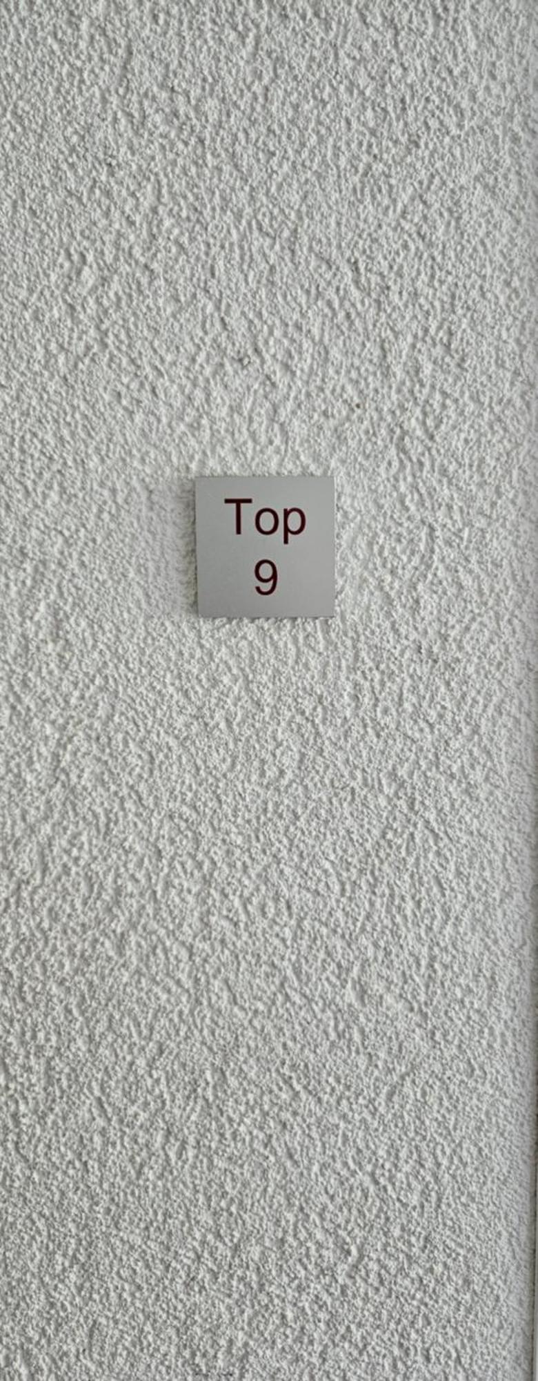 Damülser Horn *